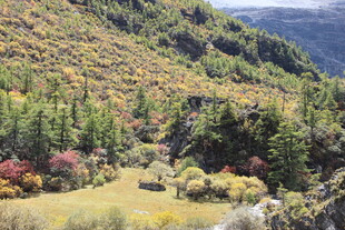 山间多彩秋景 自然之美