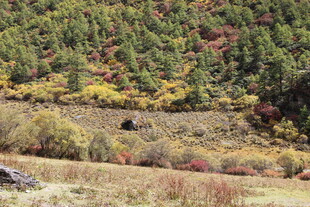 秋日山野间的多彩景致