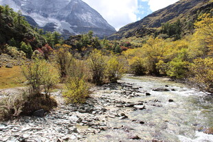 山间溪流秋色美景