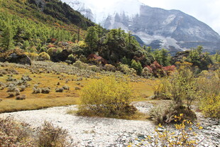 山间多彩秋景风光