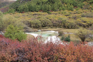 山间多彩植被与秀丽湖泊