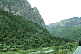 山间公路旁的秀丽自然景观