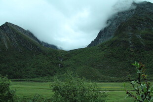 山间绿野 云雾缭绕之景