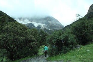 山间徒步者穿行葱郁山林