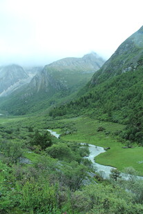 山间绿野溪流美景