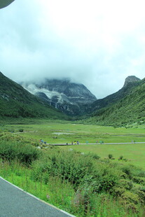 山间公路旁的绿野与山峦