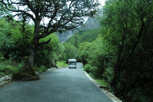 山间公路上行驶的白色车辆