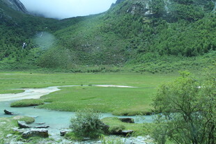 山间绿野溪流美景