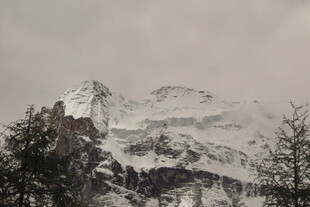 雪覆山峦与树木景观