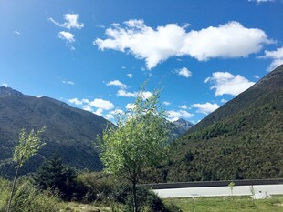 山间公路旁的秀丽风景