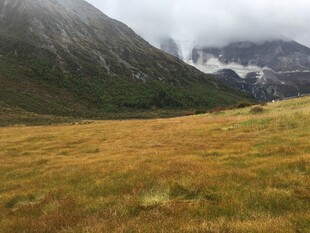 山间草地 云雾缭绕之景