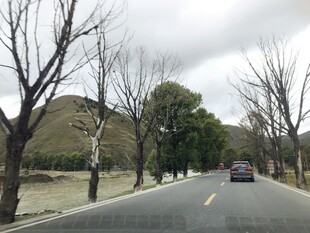 冬日公路上行驶的车辆