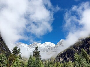 雪山云雾间的山林美景