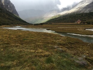 山间草地与蜿蜒溪流景色