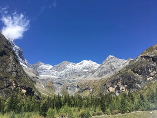 壮丽雪山下的葱郁山林