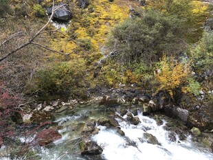 山间溪流与多彩植被景观