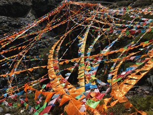 五彩经幡装点山间树