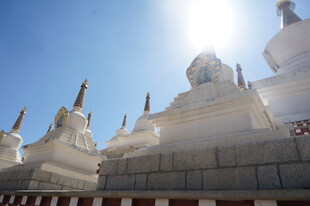 阳光下的白色佛塔群