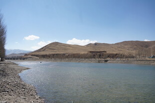 宁静河畔的自然风光