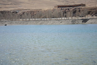 平静湖水与岸边景致