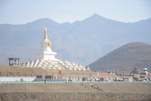 草原上的宏伟白色佛像