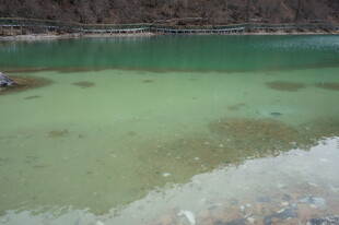 清澈碧绿的湖水近景