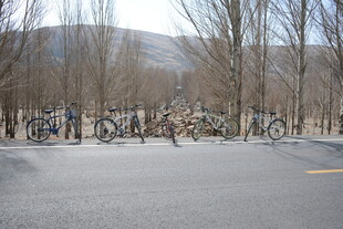 冬日路旁停放的自行车群