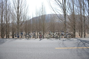冬日路旁停放的自行车群