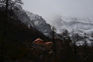 云雾缭绕中的山间小屋