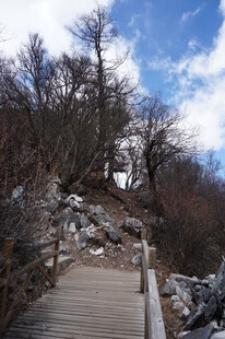 山间木栈道 自然好风光