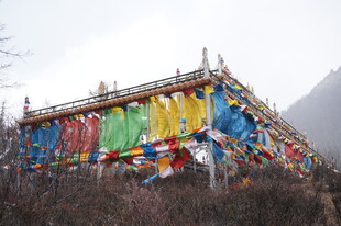 藏区经幡飘扬的建筑