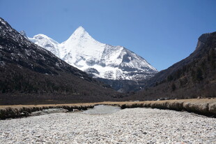 雪山下的开阔河谷景观