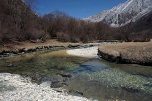 山间清澈溪流与远处雪山