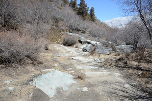 山间荒野碎石小径景色