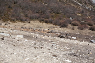 山间碎石地旁的人群景象