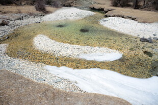 日式枯山水庭院景观