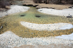山间清澈浅滩溪流美景