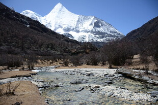 雪山下的河谷风光