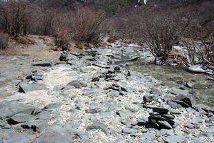 冬日溪流 碎石覆薄冰