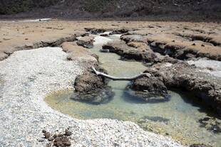 自然形成的岩石水坑景观