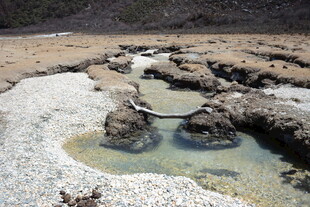 荒凉之地的奇特水坑