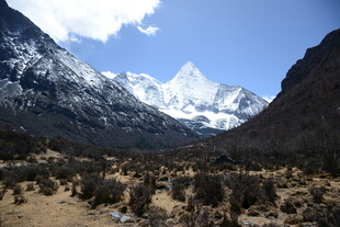 雪山下的荒野景观