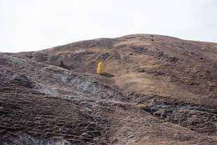 荒坡上的黄色标志物