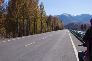 秋日公路边的山林与远山
