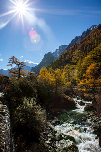 秋日山间溪流与灿烂阳光