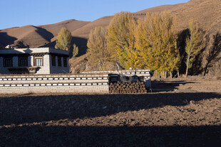 秋日藏式建筑风光