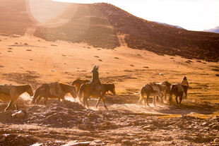 沙漠中策马赶驼的旅人