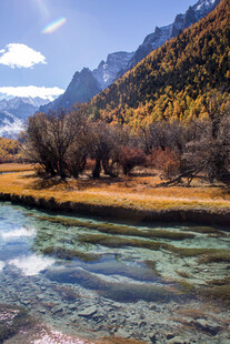 秋日山间清澈溪流美景