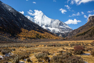 雪山下的广袤原野风光