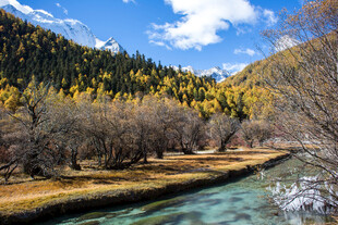 秋日山间溪流美景